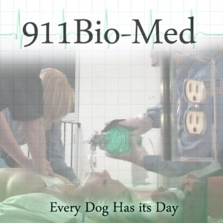 Every Dog has its Day
