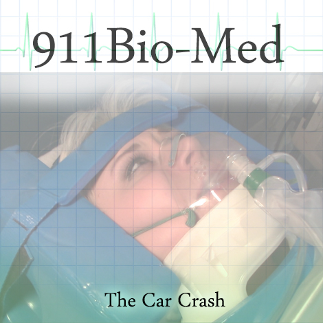 The Car Crash product image