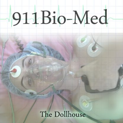 The Dollhouse p